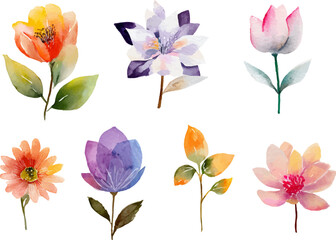 collection of flowers