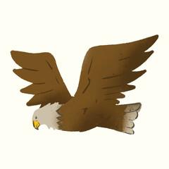 Watercolor Illustration of an Bald Eagle