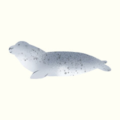 Animal Watercolor Illustration of an Spotted Seal