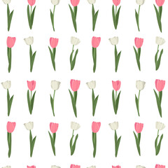 Spring pink and white gentle tulips flowers pattern colorful elegant design