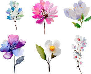 set of watercolor flowers