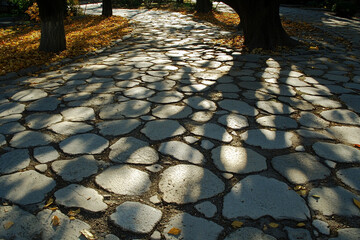 secret message hidden in the way the tree shadows fall on stone path
