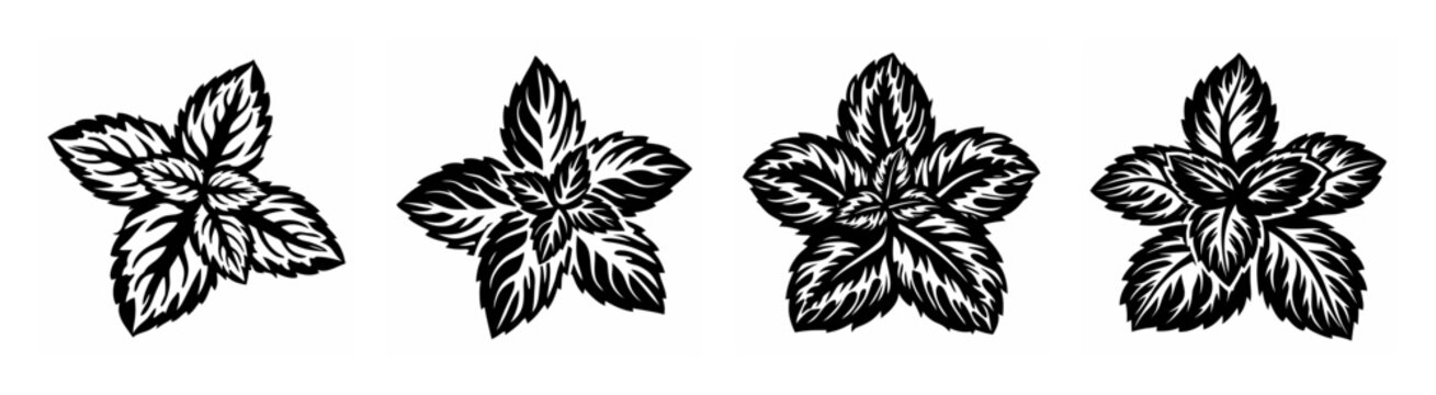 Four stylized peppermint leaves arrangement natural herbal element botanical outline drawing fresh aromatic plant