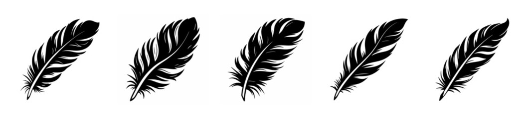Obraz premium Five intricate black phoenix feathers delicately arranged in a row on a light background