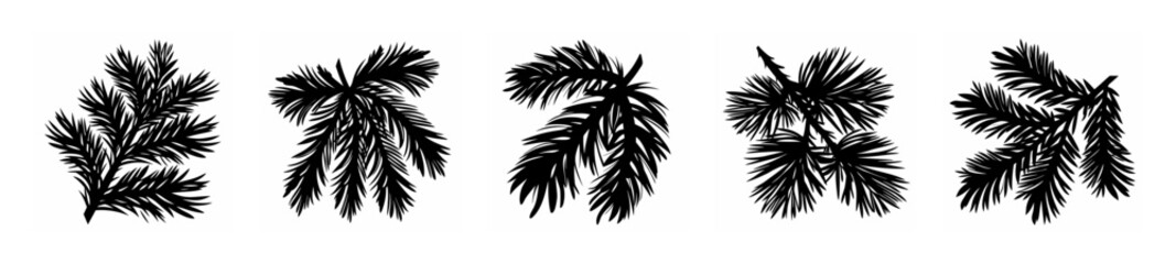 Close up of five distinct pine needle clusters showing intricate details and texture ideal for nature backgrounds