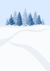 Winter landscape background with fir trees and snow in mountain. Christmas vacations in a snowy landscape.