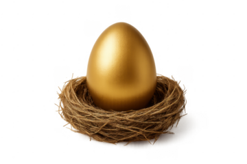 Golden egg resting in nest symbolizing wealth and security