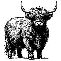 Highland Cattle Cow Vector Black and White Illustration — detailed hand-drawn farm animal artwork featuring a shaggy Scottish Highland cow with long curved horns and thick fur coat.