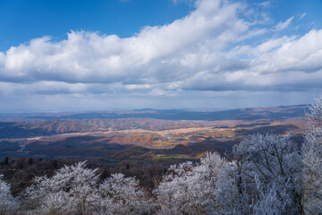 Rime Ice Forest on the top of Sifangding scenic attraction