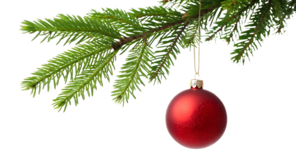 red christmas ball hanging on fir tree branch isolated on white or transparent png
