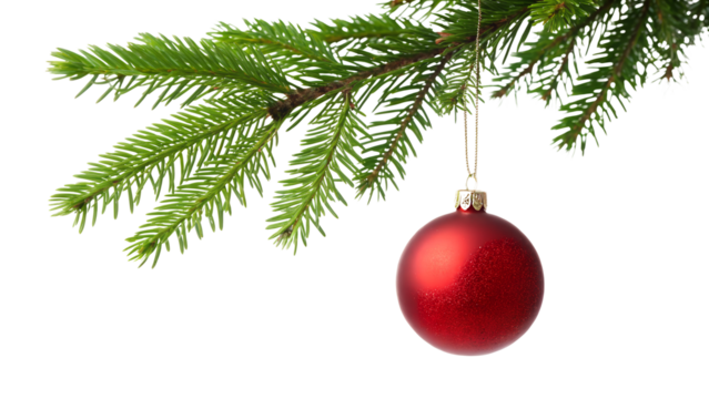 red christmas ball hanging on fir tree branch isolated on white or transparent png

