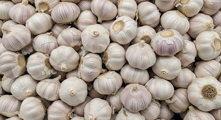 Abundant Pile of Fresh Garlic Bulbs Filling the Frame