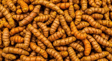 Full Frame Close-up of Fresh Organic Turmeric Roots with Distinct Markings