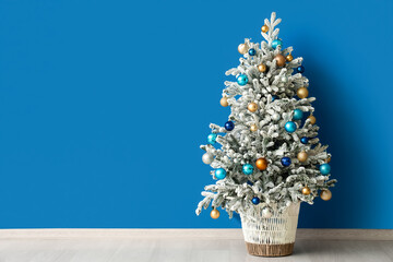 Beautiful Christmas tree in pot near blue wall
