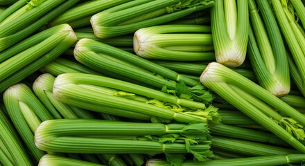 Abundant Fresh Green Celery Stalks Piled Together in a Full Frame Overhead Shot