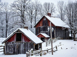Snow-covered rustic barns surrounded by trees in winter landscape  