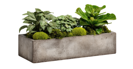 Gray concrete planter box with multiple plants