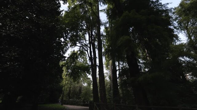 Walk in Giardini Indro Montanelli park in Milan, Italy