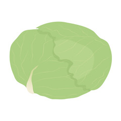キャベツのアイコン　葉物野菜のイラスト素材