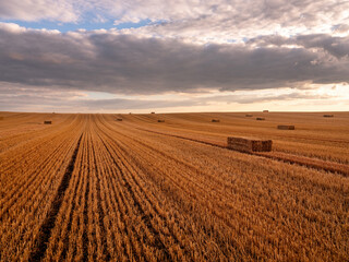 Golden harvest field featuring hay bales at sunset