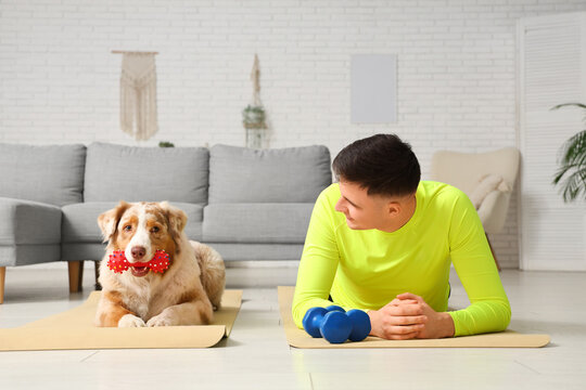 Sporty young man training with cute Australian Shepherd dog on yoga mats in living room - Powered by Adobe