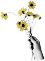 Creative art collage of hand holding a flower