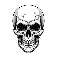 Detailed skull illustration for edgy designs, perfect for Halloween graphics