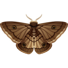 Brown Moth With Eye Spots On Wings Isolated On White Background