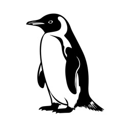 Obraz premium Black and white penguin standing in minimalist illustration style 