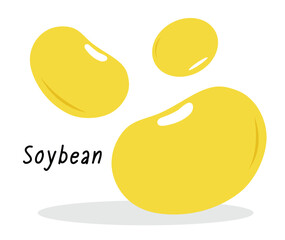 Flat vector illustration of yellow soybeans