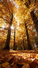 Golden Autumn Leaves on Trees with Warm Sunlight - Cozy Wallpaper Illustration Design
