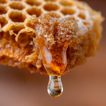 Close-up of golden amber propolis resin dripping from a beehive under warm sunlight.