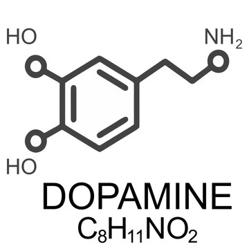 Diagram of the chemical structure of dopamine, a neurotransmitter involved in mood regulation and pleasure
