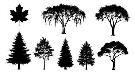 Fototapeta premium Silhouette of various trees and a maple leaf in black and white.