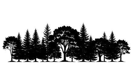 Obraz premium Silhouette of a diverse forest, showcasing various tree types against a bright background.