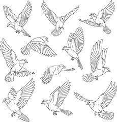 Black Silhouette Pattern of Birds in Flight flock flying