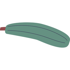 Green Zucchini Squash Vegetable Isolated On White Transparent Background Simple Flat Design Graphic Element