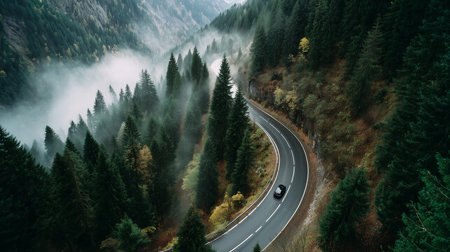 Winding road in the mountains and pine forest