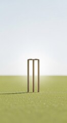 Serene Cricket Stumps on Green Pitch Under Bright Sky Minimalist Sports Field Setup Preparing for Game Play