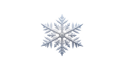 Obraz premium Blue and white Christmas snowflakes isolated on white background