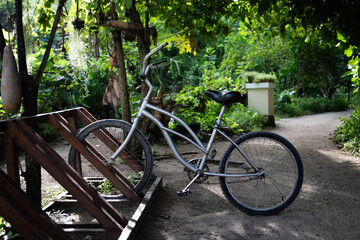Silver bicycle parked lush tropical garden path
