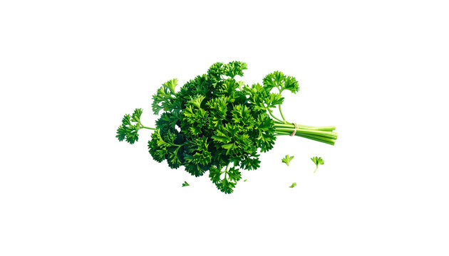 Fresh green broccoli and parsley leaves isolated on white background