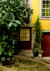 A building facade with a door and windows, surrounded by lush greenery and potted plants.
