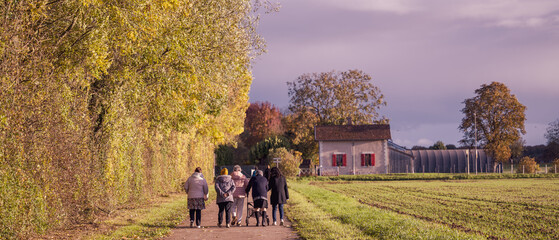 Group of people walking together on a rural path near Beaune, Burgundy, France, surrounded by autumn trees and warm sunlight, symbolizing friendship, care, and peaceful countryside life.
