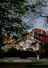 A pink house with a red roof is seen through the trees.