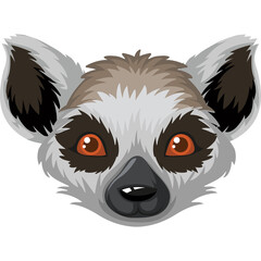 Obraz premium Close up portrait of a ring tailed lemur face with large orange eyes and grey and white fur isolated on a transparent background