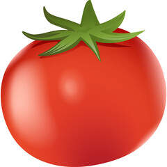 A Single Ripe Red Tomato with a Green Stem and Leaves on a Transparent Background, Realistic Food Illustration