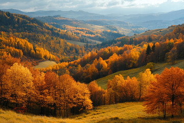 Naklejka premium breathtaking autumn valley where golden trees stretch as far as the eye can see