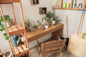 Gardener workspace with table, shelving unit and different gardening supplies near light wall, closeup