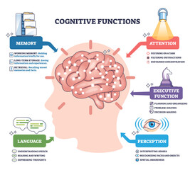 Cognitive functions brief overview showing a brain in a head silhouette with icons for memory, attention, language, perception, and executive function, mapping how the mind works.